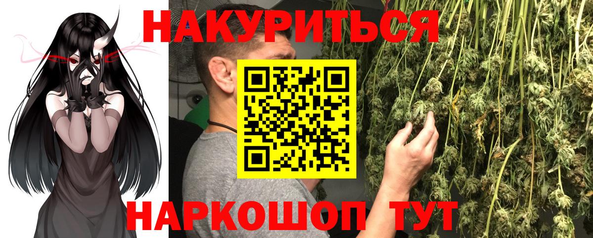 Конопля AK-47  Бошки Шишки план  Вход с VPN  Канабис ГИДРОПОН  Камышин 